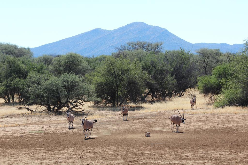 Haasenhof Gastefarm Villa Okahandja Luaran gambar